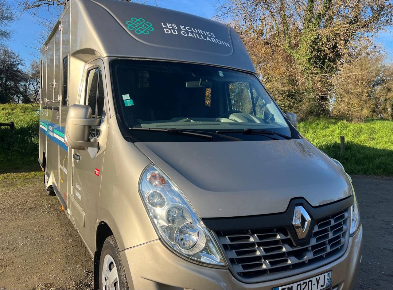 Kleine paardenvrachtwagen (B rijbewijs) Renault Master 2017 Tweedehands