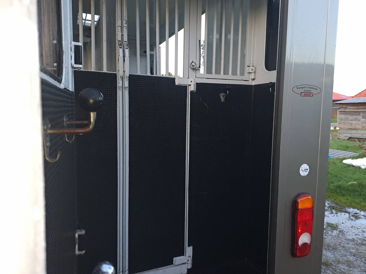 Kleine paardenvrachtwagen (B rijbewijs) Renault Master 2017 Tweedehands