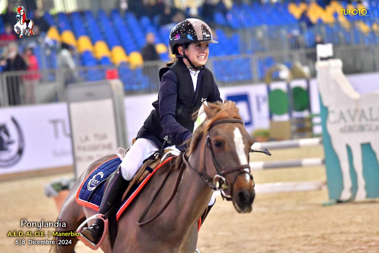 Merrie Andere pony rassen Te koop 2009 Koffie vos