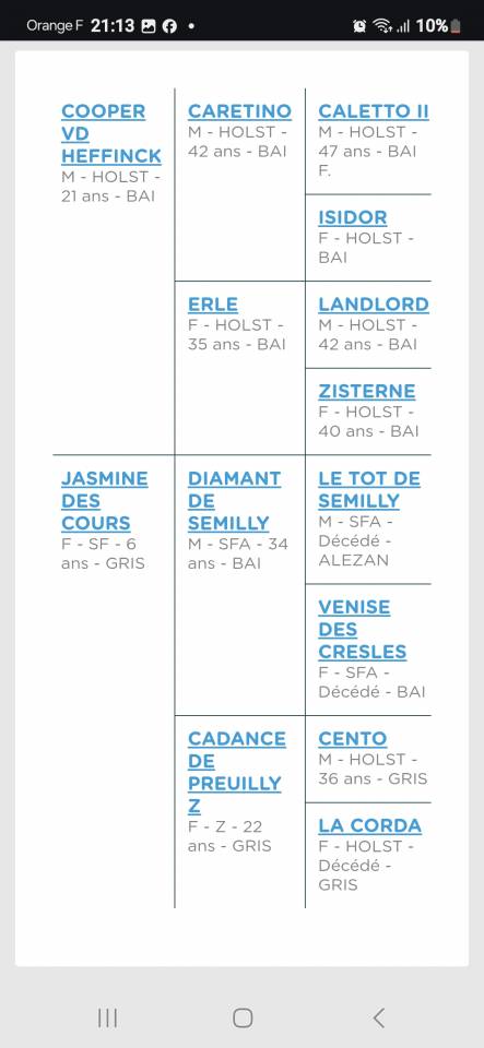 Merrie Selle Français Te koop 2024 Donker bruin / bai ,  Cooper van’t Heffinck