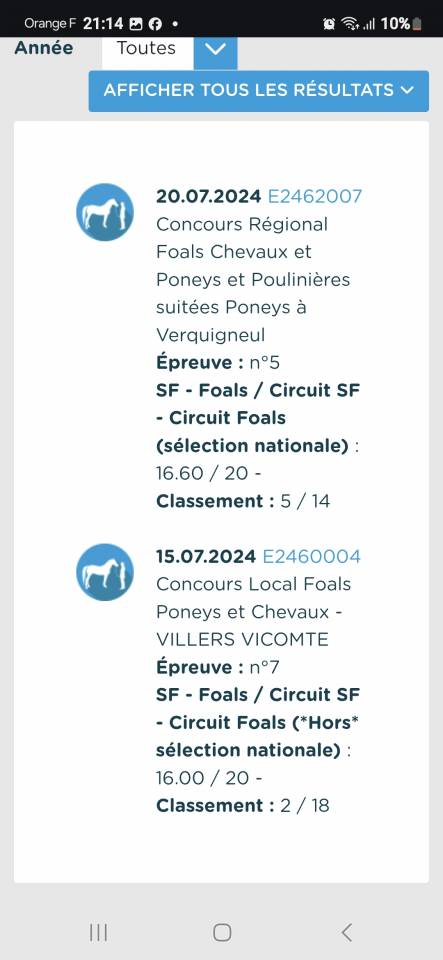 Merrie Selle Français Te koop 2024 Donker bruin / bai ,  Cooper van’t Heffinck