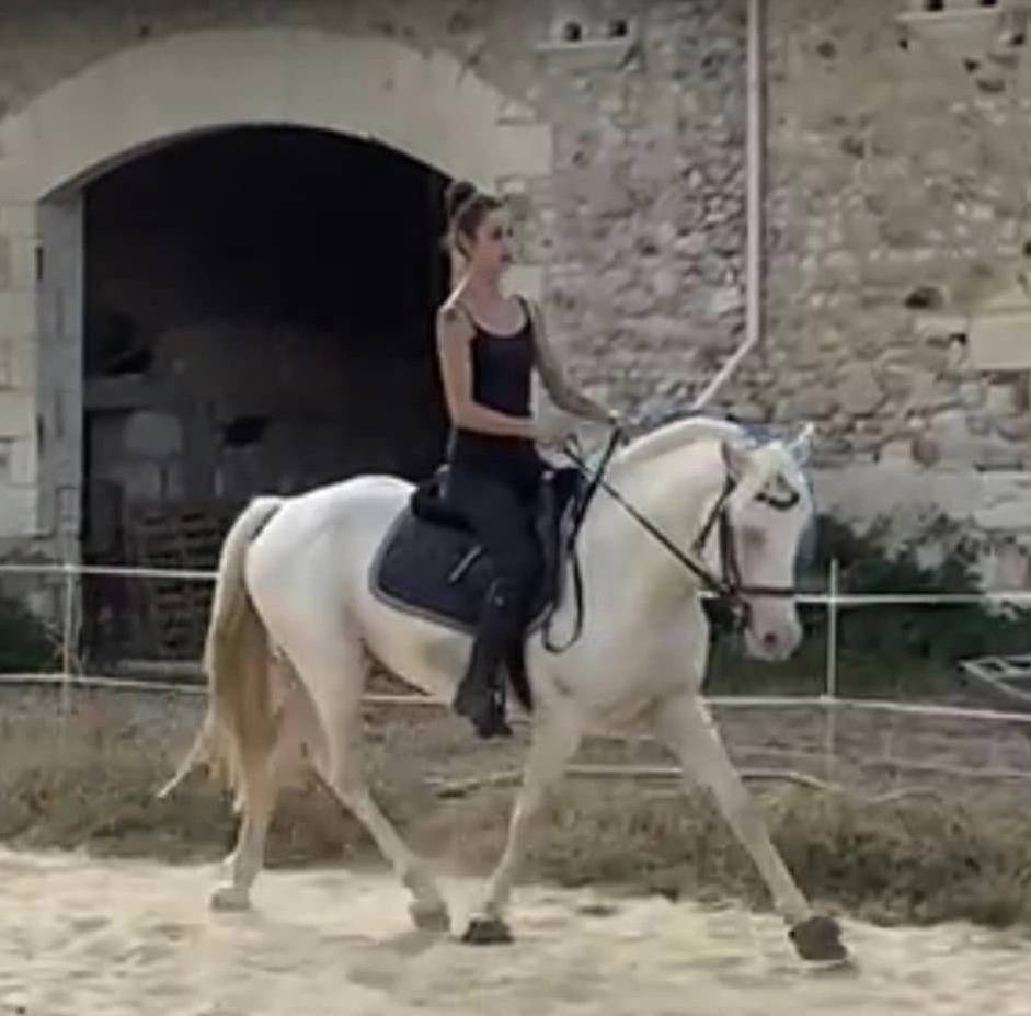 DEEP BLUE DES ZIMB - Franse rijpony PFS 2013 ,  Uniblue