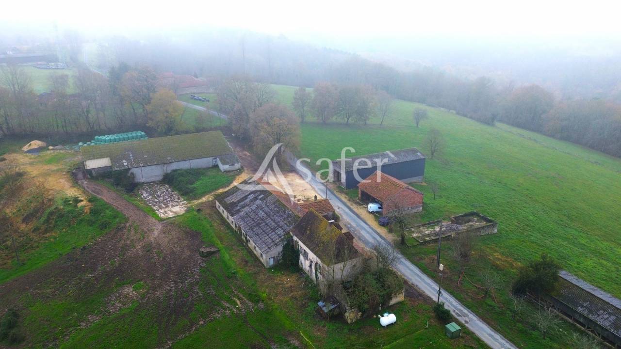 Schapen exploitatie Koop Dordogne