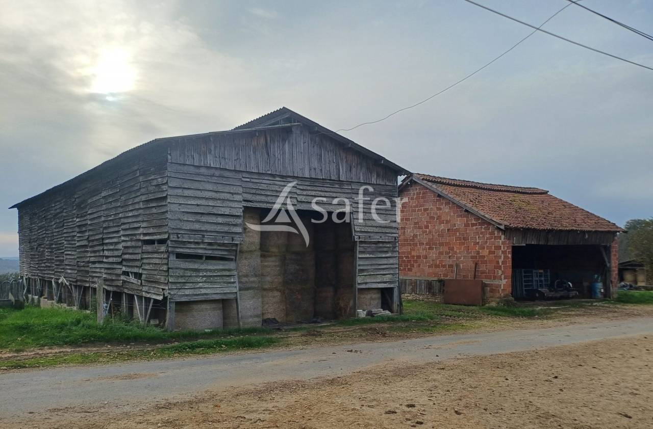 Schapen exploitatie Koop Dordogne