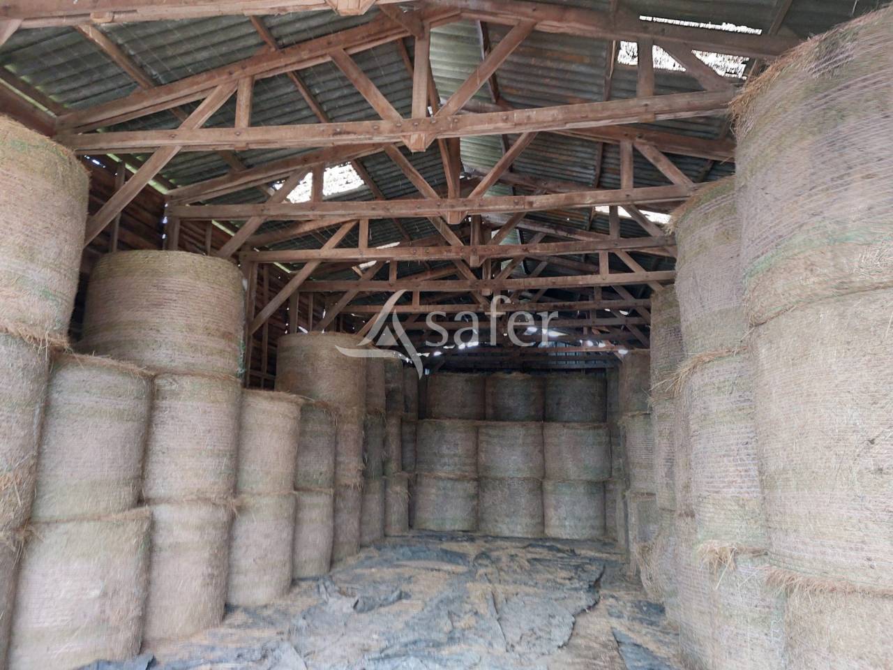 Schapen exploitatie Koop Dordogne