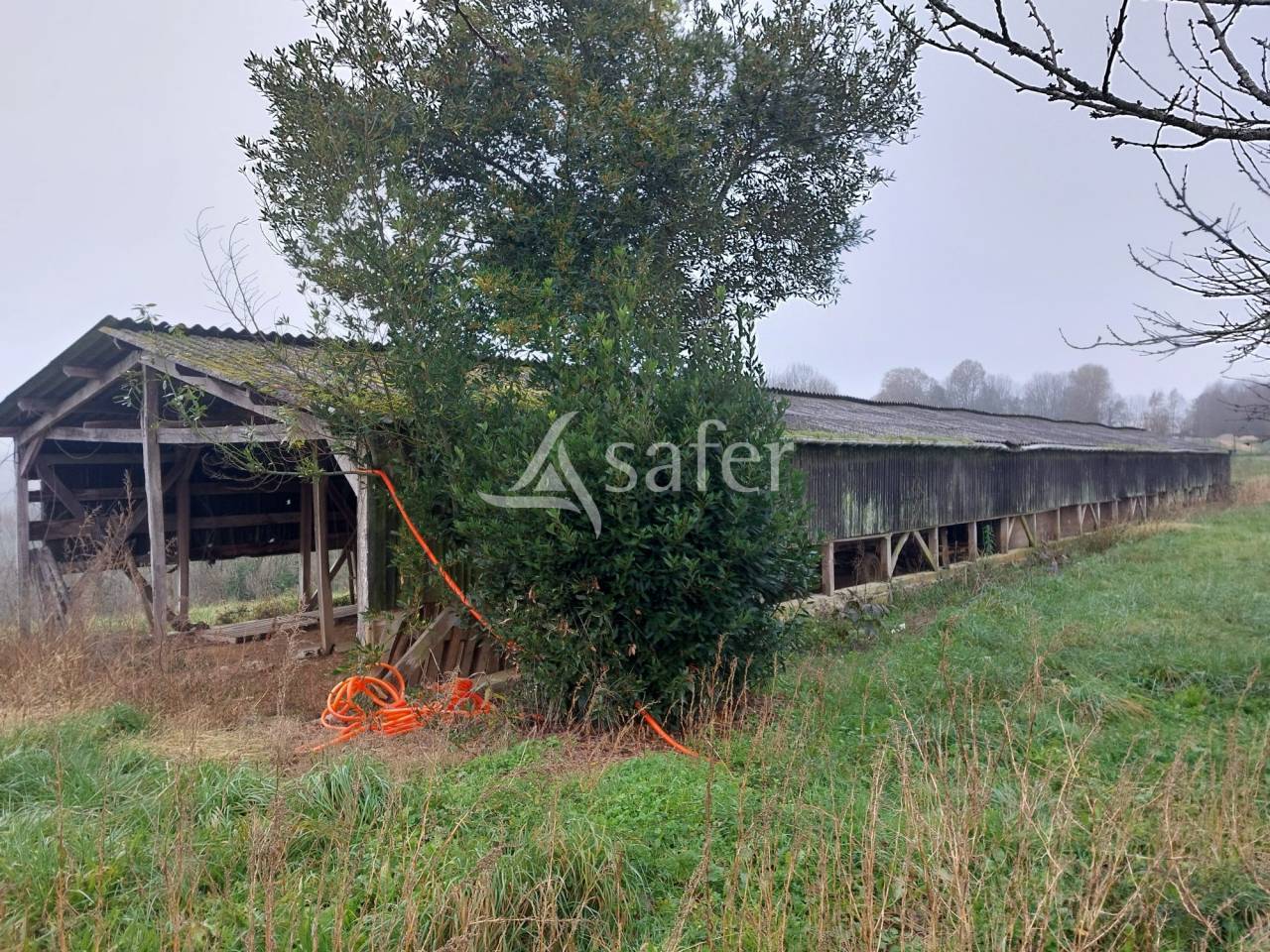 Schapen exploitatie Koop Dordogne