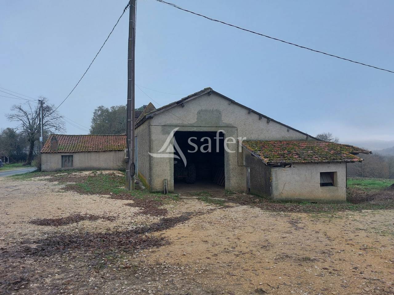 Schapen exploitatie Koop Dordogne