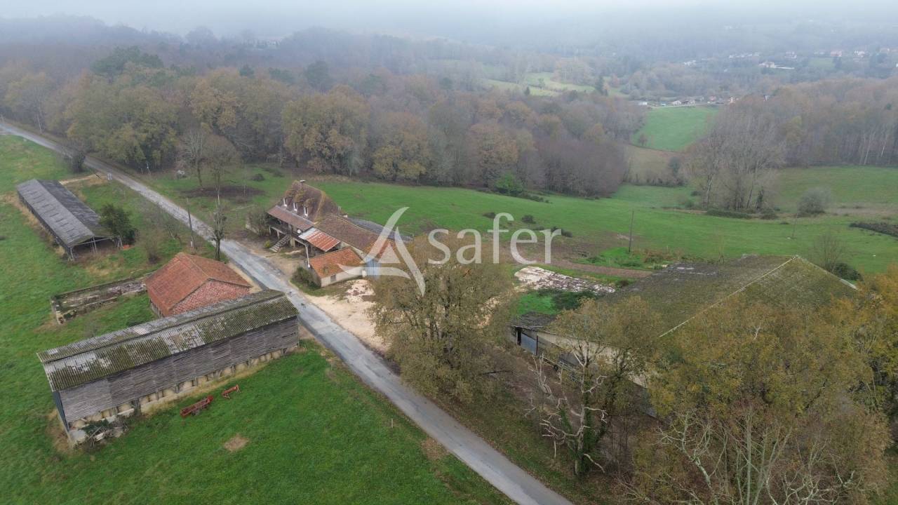 Schapen exploitatie Koop Dordogne