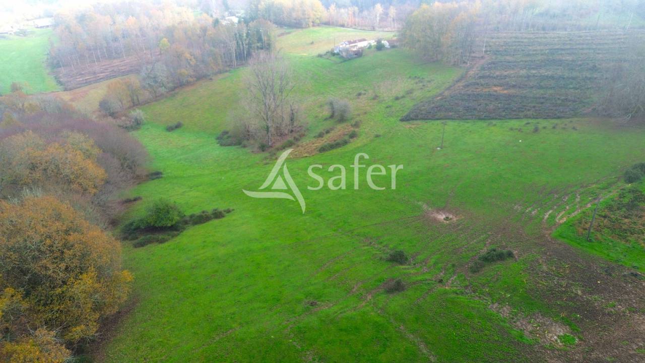 Schapen exploitatie Koop Dordogne