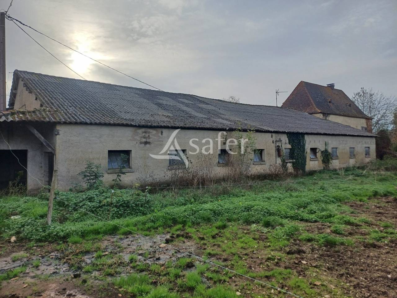 Schapen exploitatie Koop Dordogne