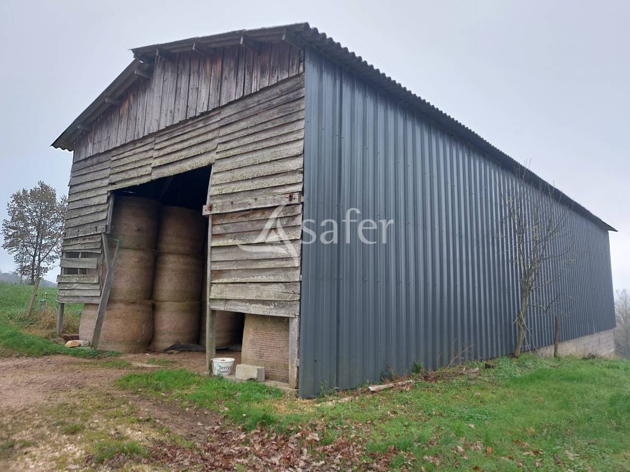 Schapen exploitatie Koop Dordogne