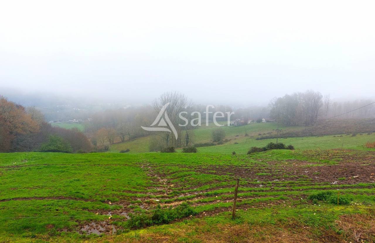 Schapen exploitatie Koop Dordogne