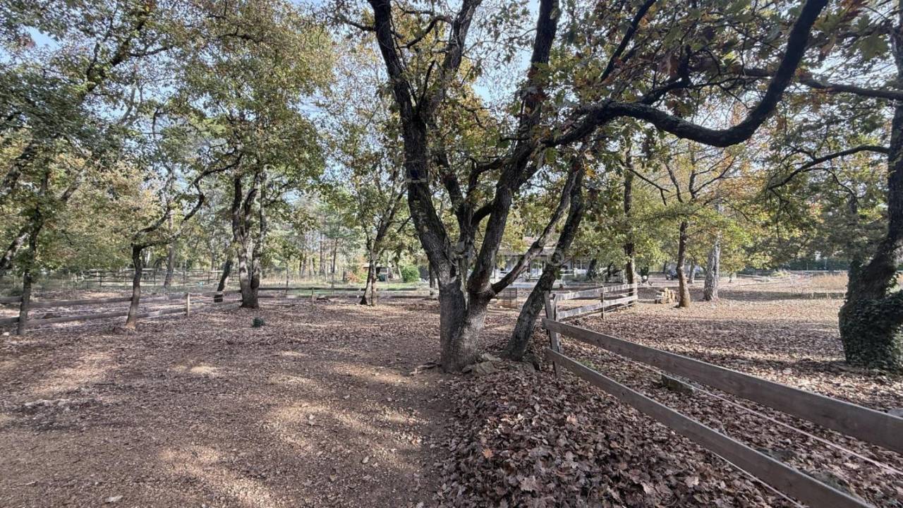 Hippisch vastgoed Koop Var