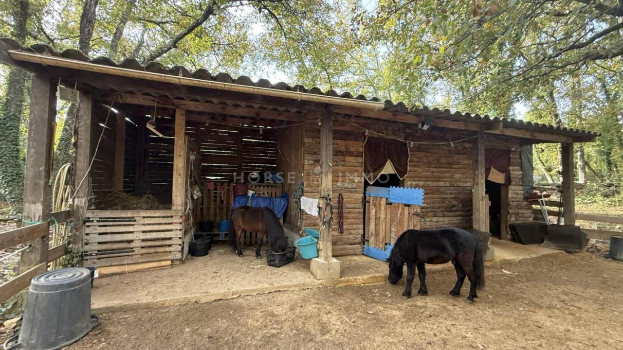 Hippisch vastgoed Koop Var