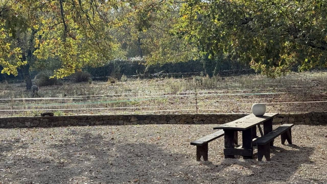 Hippisch vastgoed Koop Var