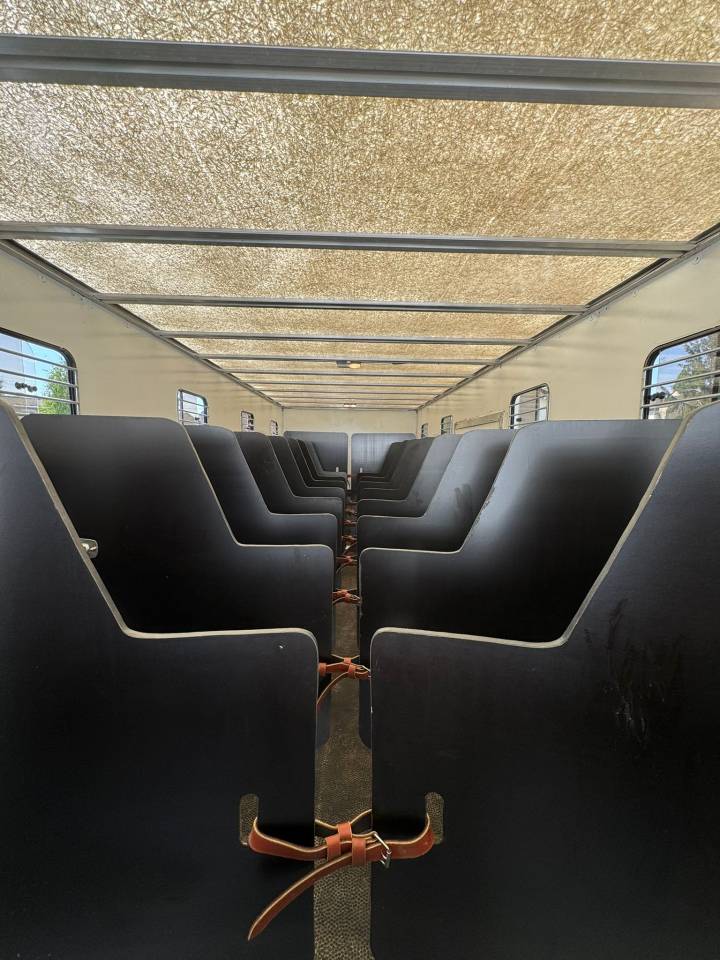 Zware paardenvrachtwagen (groot rijbewijs) Daf  2011 Tweedehands