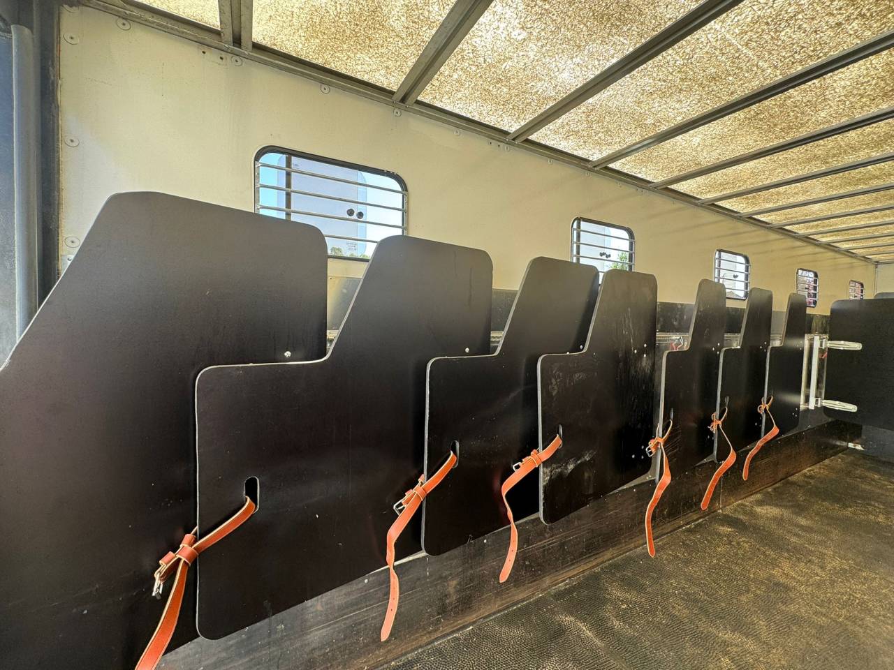 Zware paardenvrachtwagen (groot rijbewijs) Daf  2011 Tweedehands