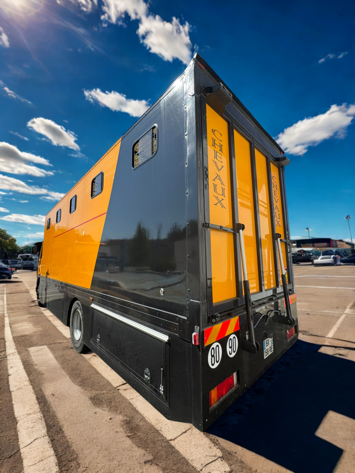 Zware paardenvrachtwagen (groot rijbewijs) Daf  2011 Tweedehands