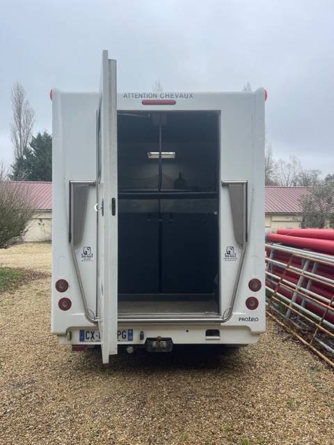 Kleine paardenvrachtwagen (B rijbewijs) Theault  2013 Tweedehands