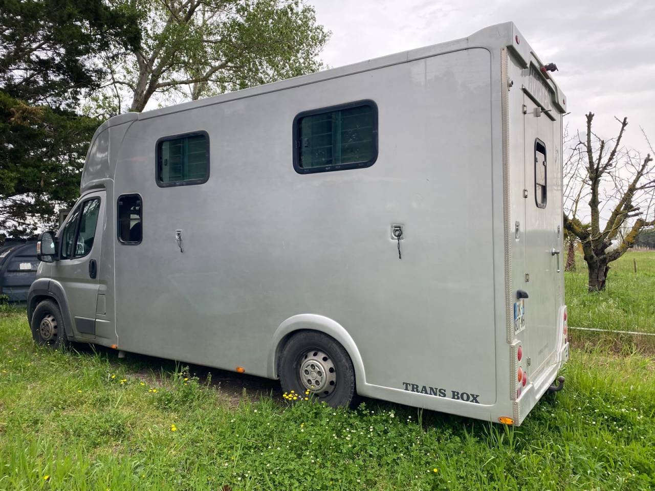 Kleine paardenvrachtwagen (B rijbewijs) Trans Box  2014 Tweedehands