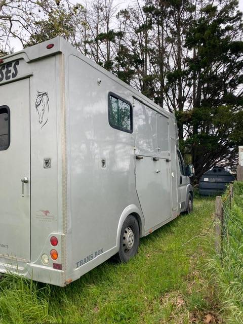 Kleine paardenvrachtwagen (B rijbewijs) Trans Box  2014 Tweedehands