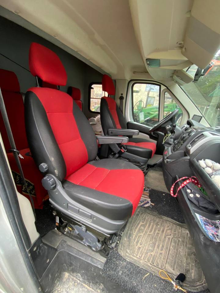 Kleine paardenvrachtwagen (B rijbewijs) Trans Box  2014 Tweedehands