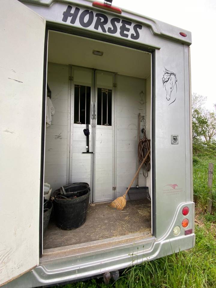 Kleine paardenvrachtwagen (B rijbewijs) Trans Box  2014 Tweedehands