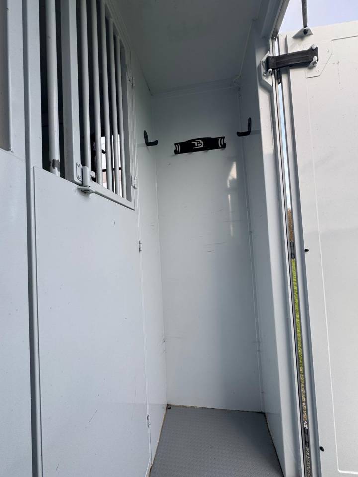 Kleine paardenvrachtwagen (B rijbewijs) TBST Renault Master 2023 Tweedehands