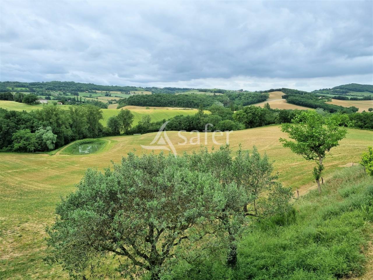 Ander plattelands vastgoed Koop tarn