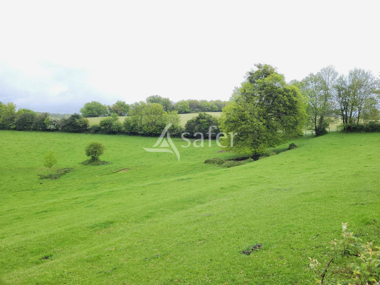 Graan exploitatie Koop tarn