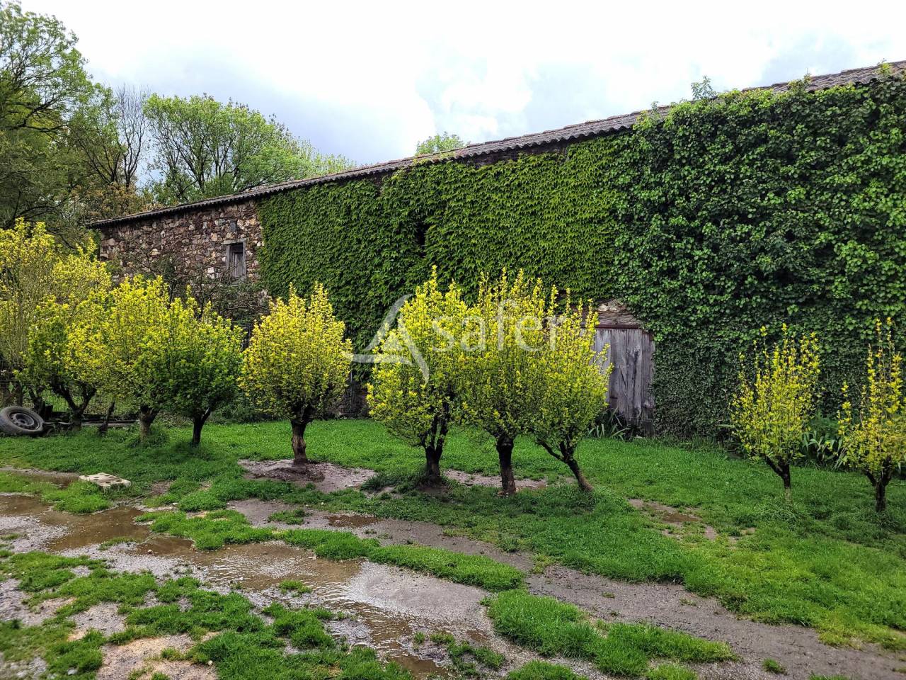 Graan exploitatie Koop tarn