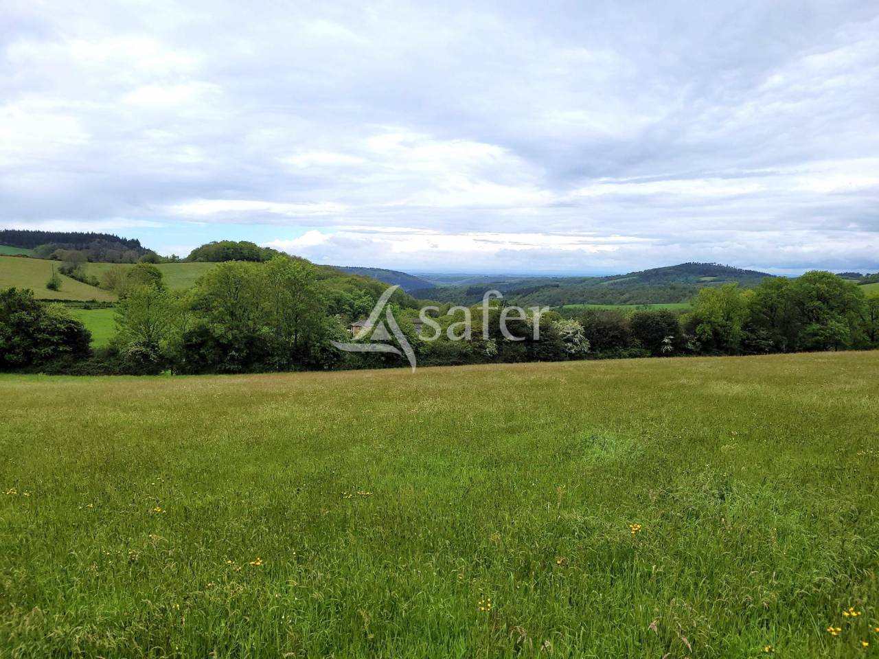 Graan exploitatie Koop tarn