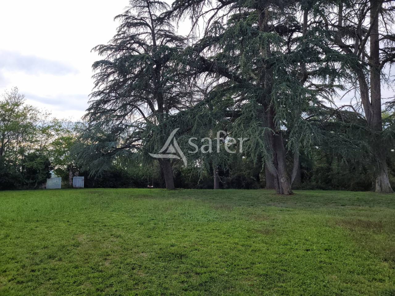 Ander plattelands vastgoed Koop tarn