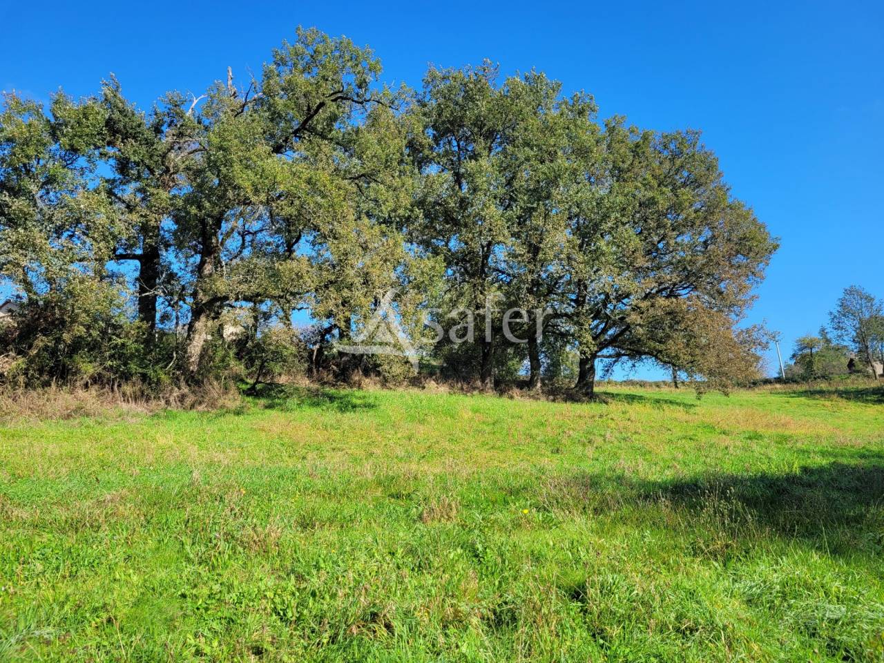 Ander plattelands vastgoed Koop tarn
