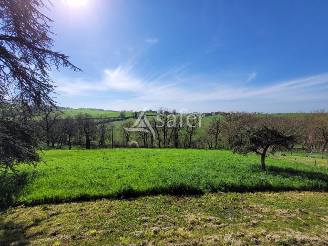 Ander plattelands vastgoed Koop tarn