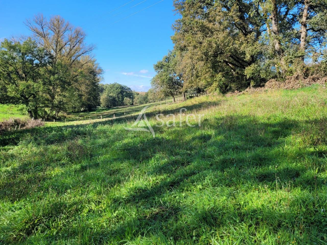 Ander plattelands vastgoed Koop tarn