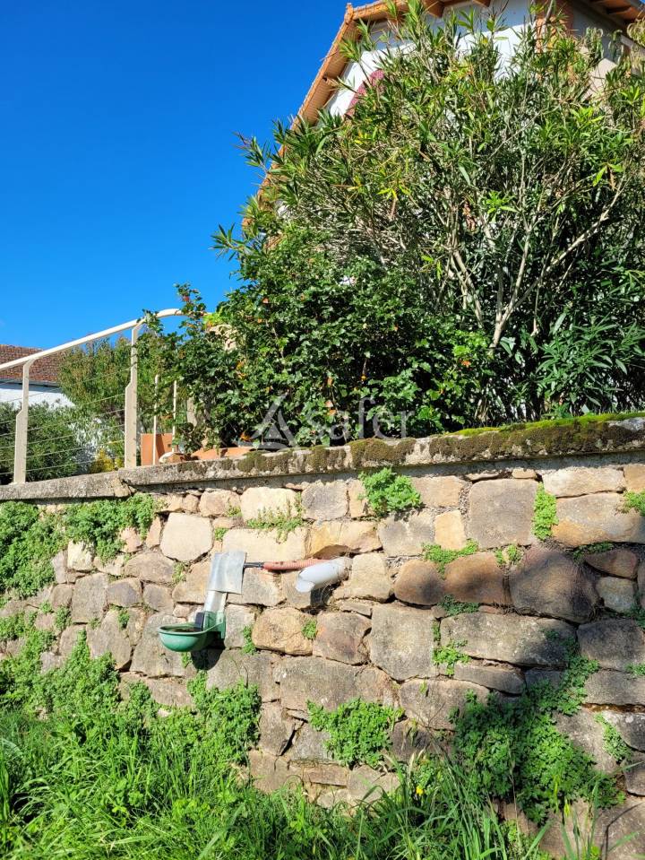 Ander plattelands vastgoed Koop tarn