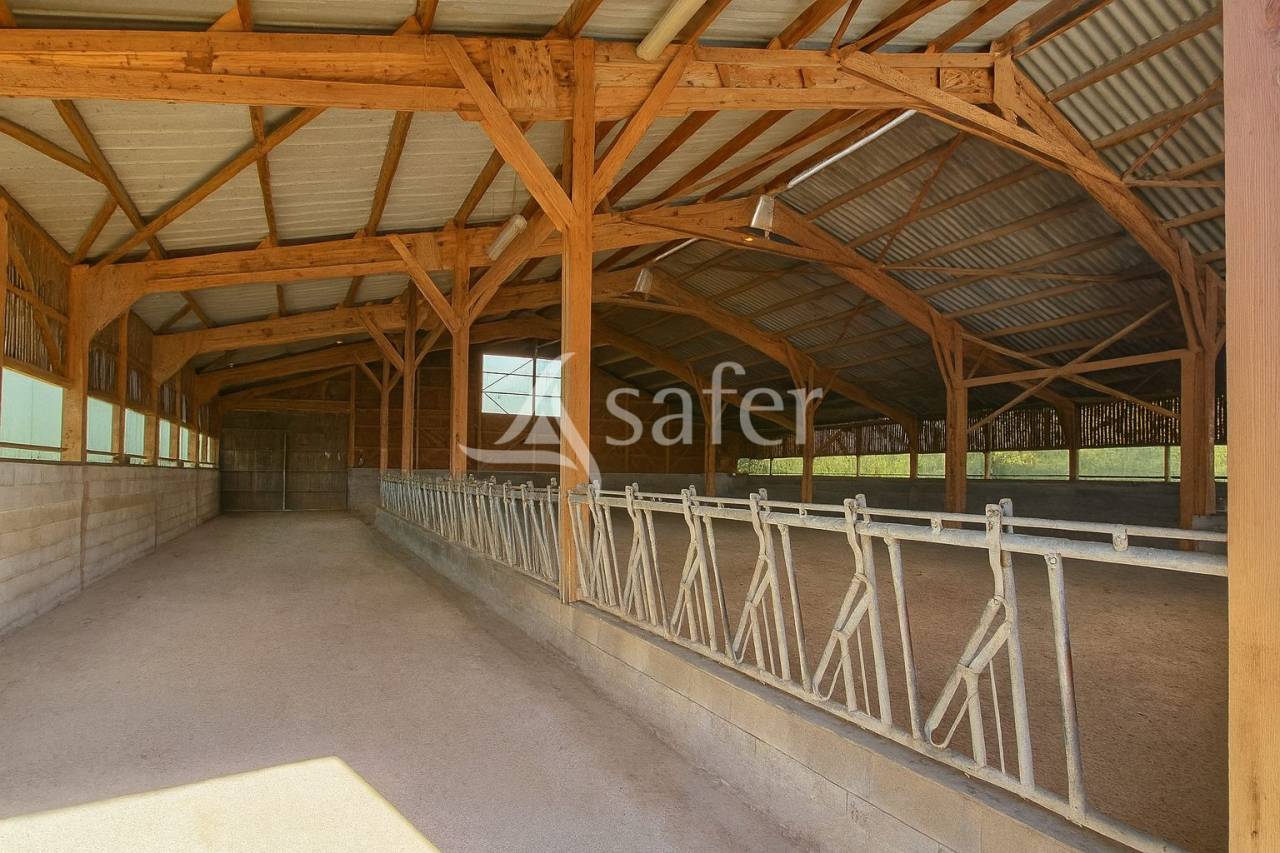 Graan exploitatie Koop tarn