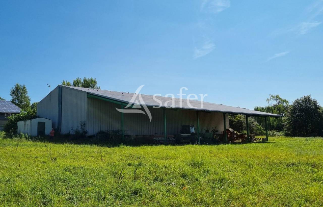 Graan exploitatie Koop tarn