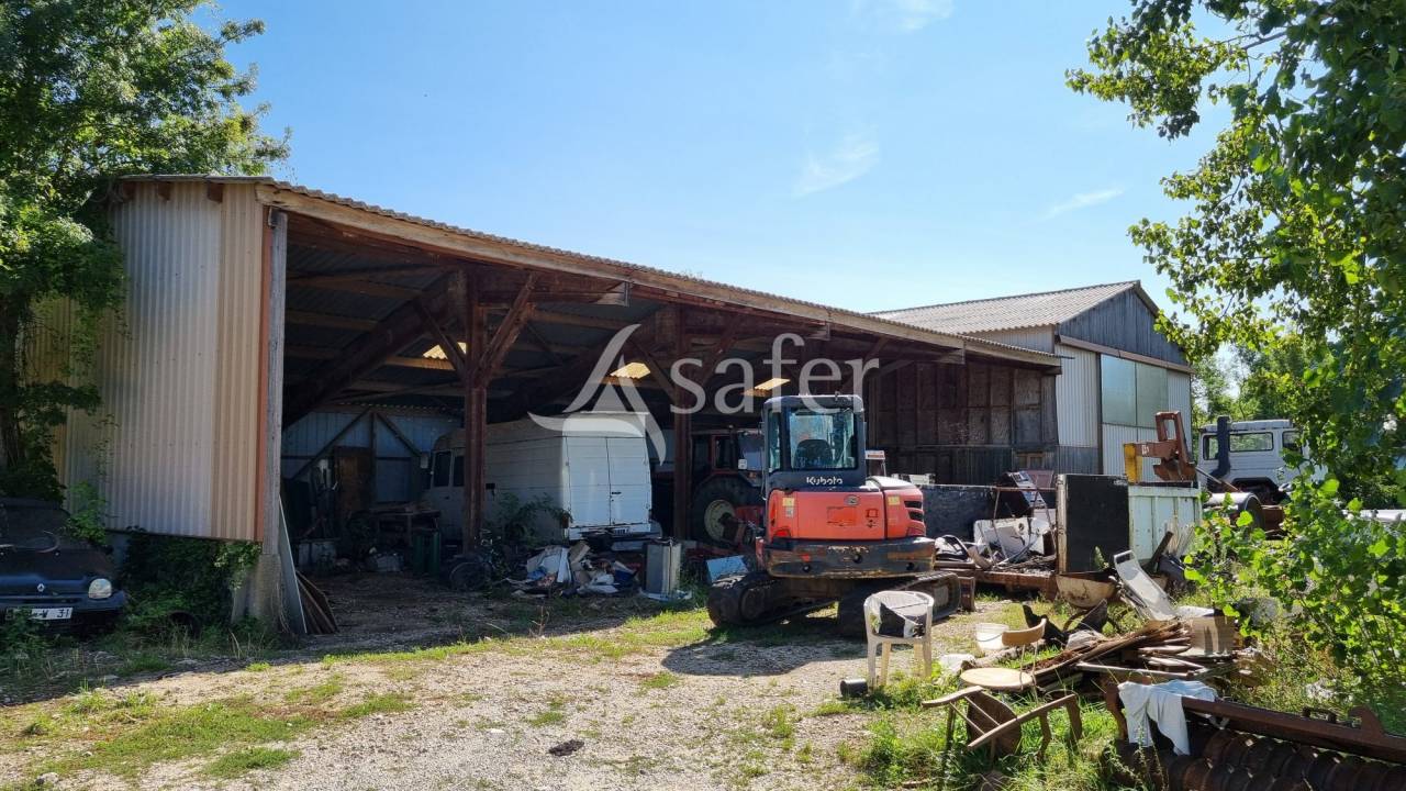 Graan exploitatie Koop tarn