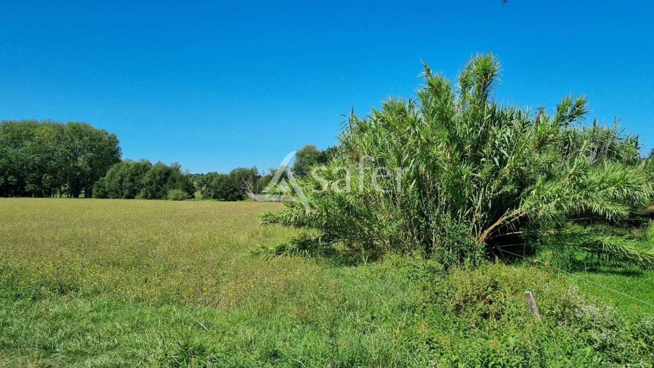 Graan exploitatie Koop tarn