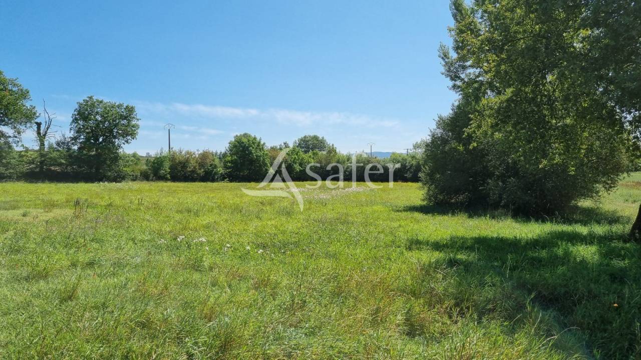 Graan exploitatie Koop tarn