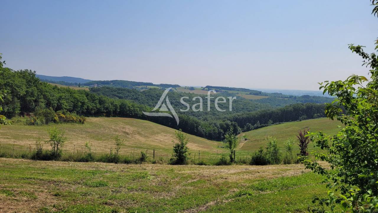 Ander plattelands vastgoed Koop tarn