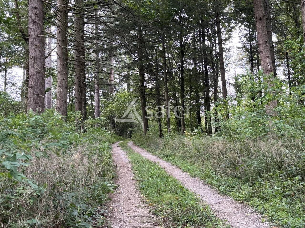 Ander plattelands vastgoed Koop tarn