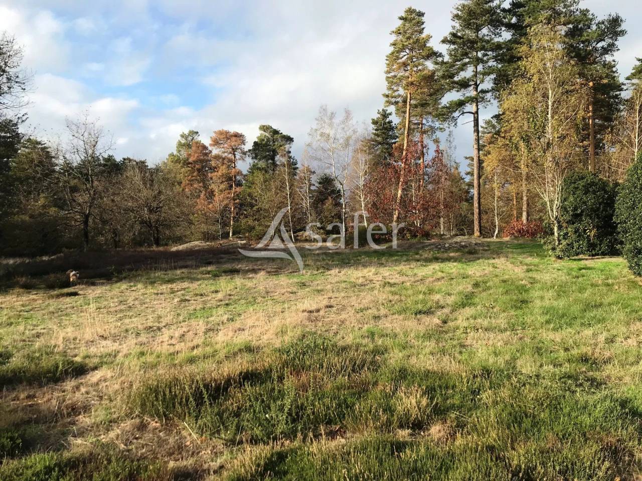 Ander plattelands vastgoed Koop tarn