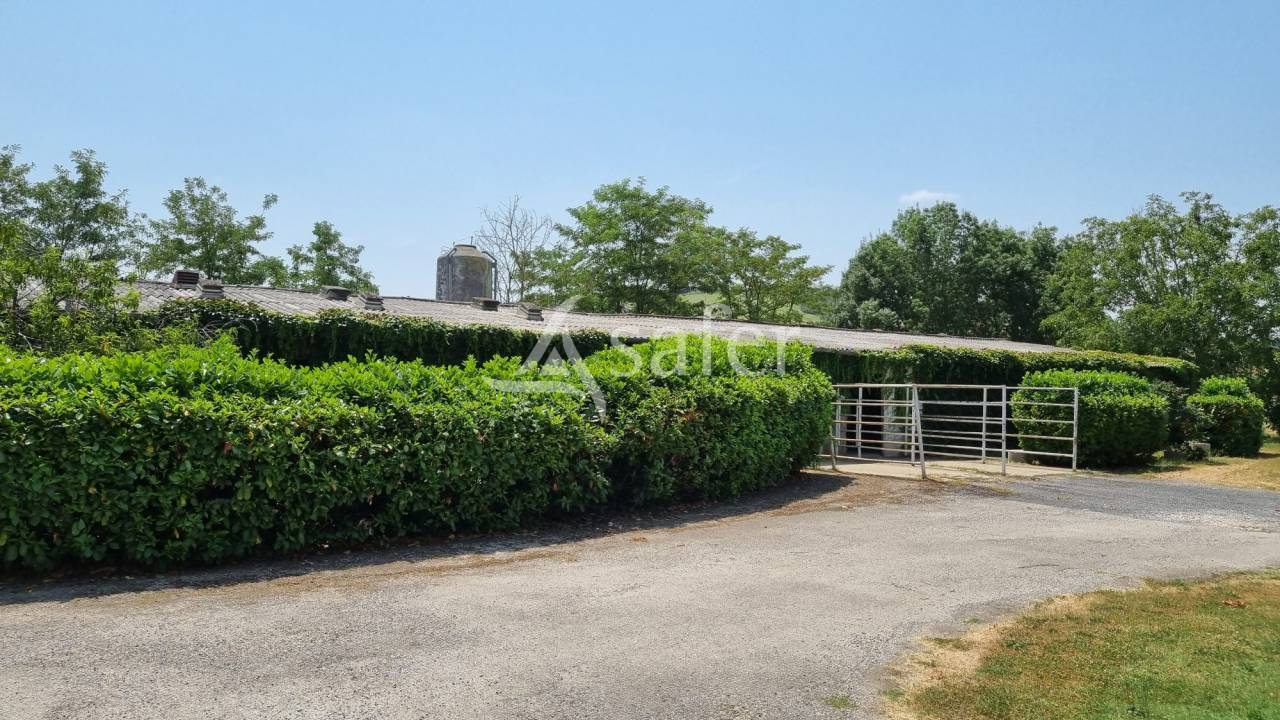 Ander plattelands vastgoed Koop tarn