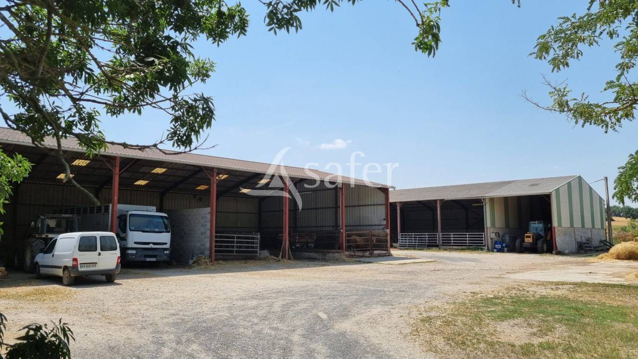 Ander plattelands vastgoed Koop tarn