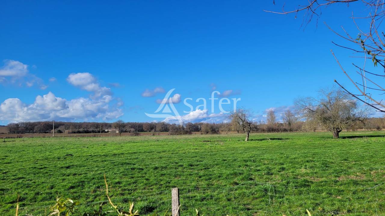 Ander plattelands vastgoed Koop tarn