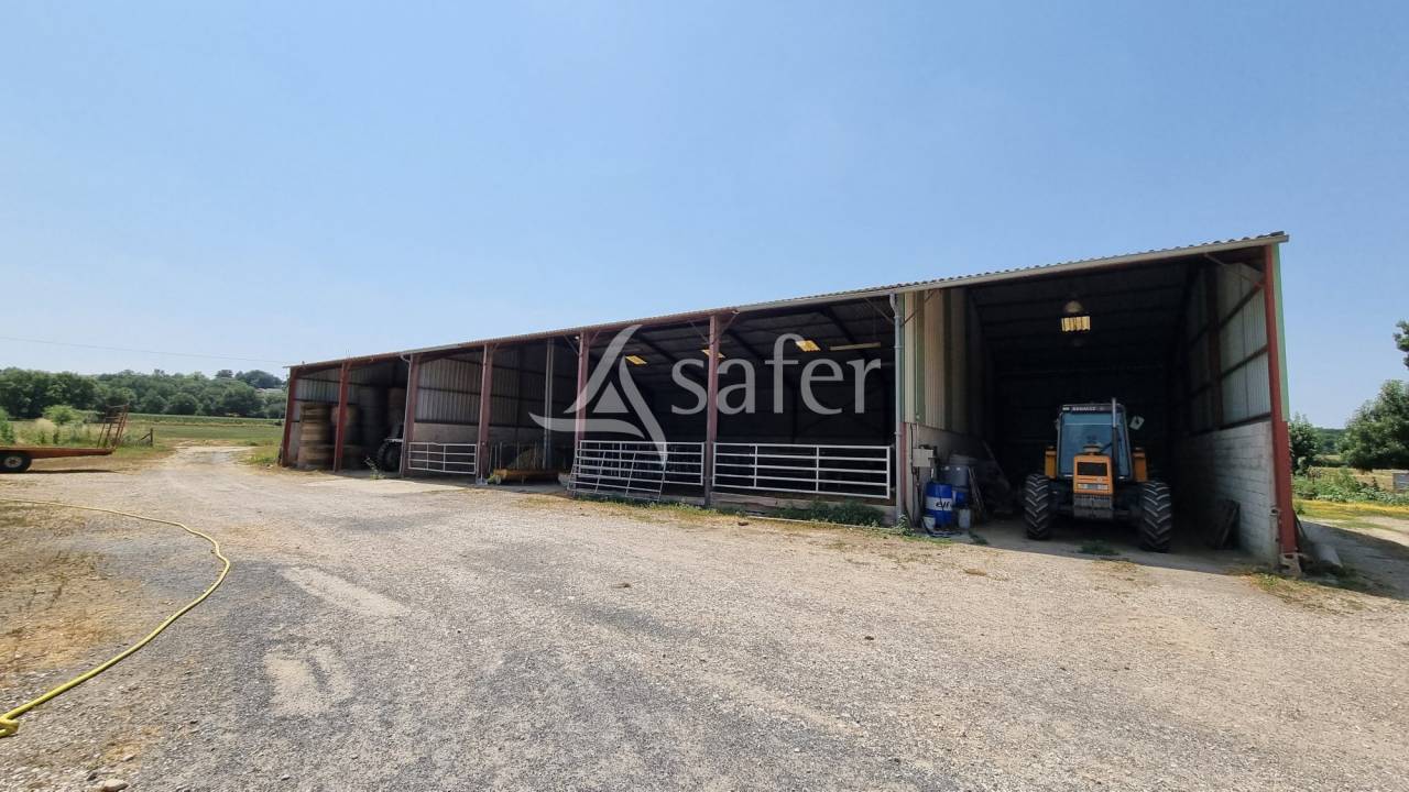 Ander plattelands vastgoed Koop tarn