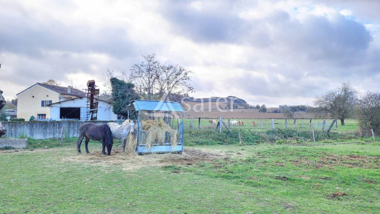 Ander plattelands vastgoed Koop tarn